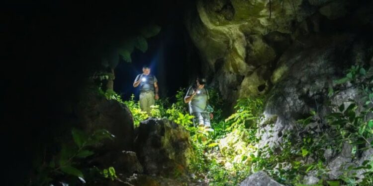 Cientistas encontram serpente em cavernas do Camboja que “enxerga” o calor das presas no escuro