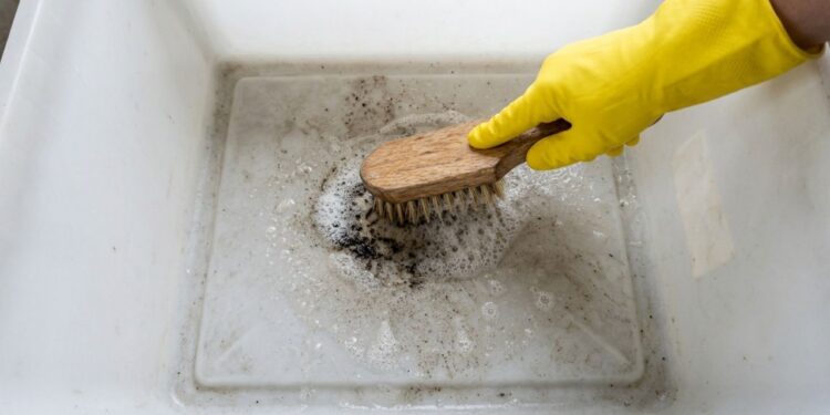 Como limpar o cesto de lixo da cozinha que ficou com cheiro de chorume: veja como deixá-lo desinfetado e sem odor