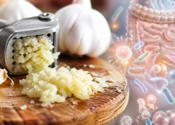 Nem suplemento caro, nem fórmula milagrosa, alimento comum pode ajudar no equilíbrio do intestino