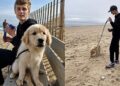“Lágrimas de orgulho: Mãe registra momento em que filho autista conquista o ‘impossível’ na areia”
