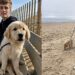 “Lágrimas de orgulho: Mãe registra momento em que filho autista conquista o ‘impossível’ na areia”