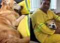 "Não podia deixar ele morrer": o resgate que salvou um cão da calçada