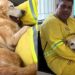 "Não podia deixar ele morrer": o resgate que salvou um cão da calçada