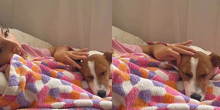"Cadelinha Sky vira suporte emocional para menina que faz 3 terapias por dia"