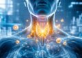 Selênio e tireoide: por que esse mineral é tão importante para o equilíbrio do corpo?