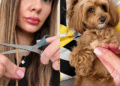 Arte feita com cabelo e pelo da cadela transforma lembrança em decoração afetiva
