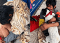 Morador de rua perde cachorrinha e reação no reencontro emociona milhões