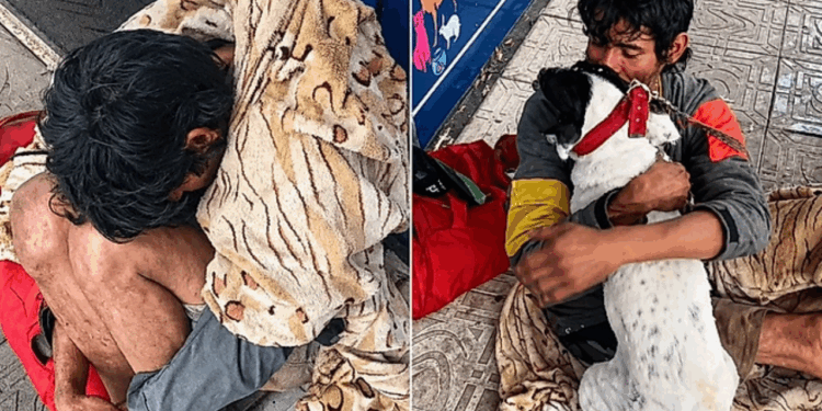 Morador de rua perde cachorrinha e reação no reencontro emociona milhões