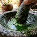 Como proteger suas folhas novas de gafanhotos em menos de um minuto: truque caseiro eficaz borrifando extrato de folha de neem
