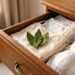 Colocar folhas de louro nas gavetas de roupas íntimas: para que serve e como suas peças ficam protegidas