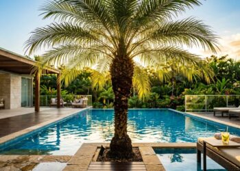 A palmeira anã que virou a favorita de beiras de piscina porque não faz sujeira na água e suporta o calor intenso sem queimar