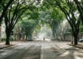 Entre as cidades com melhor qualidade de vida no Brasil, esse lugar tem arborização intensa e não sofre com calor abafado nas ruas