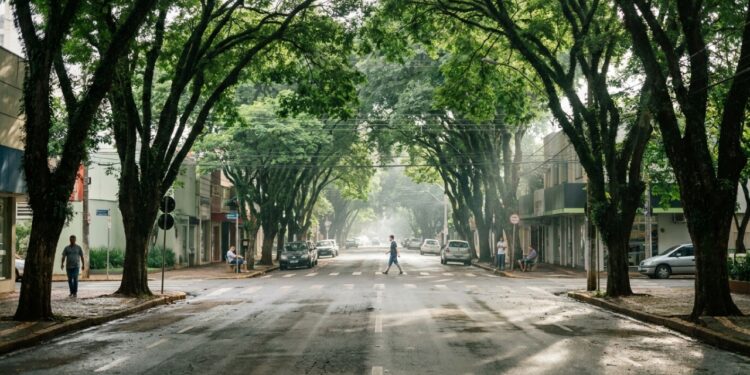 Entre as cidades com melhor qualidade de vida no Brasil, esse lugar tem arborização intensa e não sofre com calor abafado nas ruas