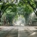Entre as cidades com melhor qualidade de vida no Brasil, esse lugar tem arborização intensa e não sofre com calor abafado nas ruas