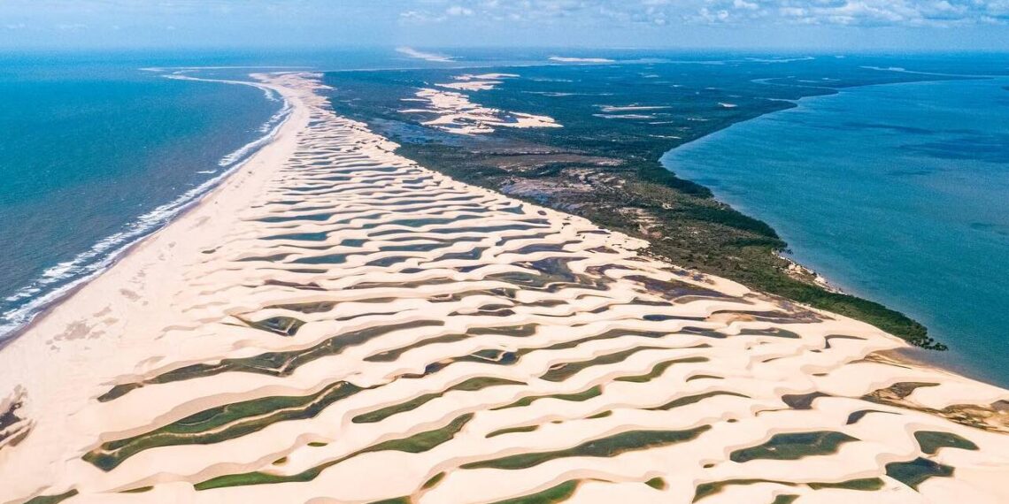O delta mais fascinante das Américas revela segredos inesquecíveis