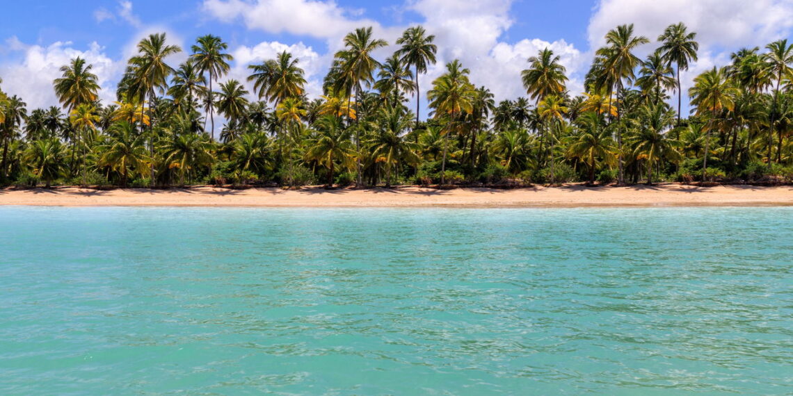 Conheça as praias com águas cristalinas mais incríveis do Brasil