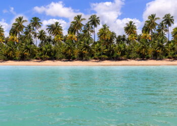 Conheça as praias com águas cristalinas mais incríveis do Brasil