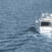 Experiência única de barco pelos paraísos naturais do Brasil