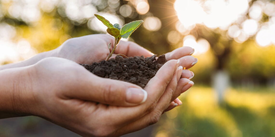 Como a Tecnologia Está Transformando a Agricultura