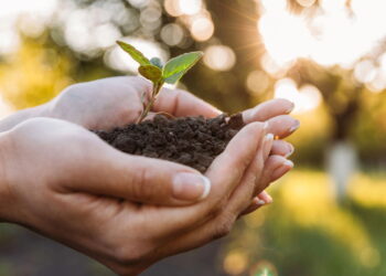 Como a Tecnologia Está Transformando a Agricultura