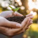 Como a Tecnologia Está Transformando a Agricultura