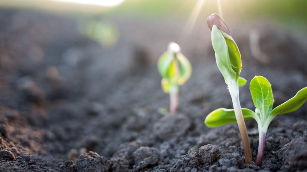 Como a tecnologia está transformando a agricultura