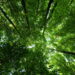 Parques nacionais que todo amante da natureza deve conhecer