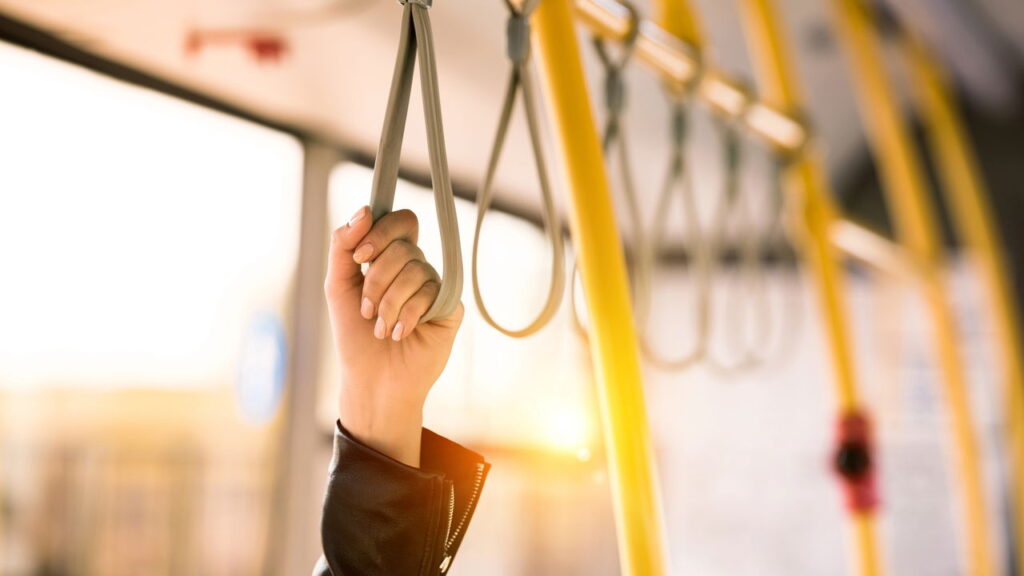 A cidade que combina qualidade de vida e educação de excelência
