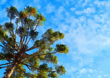 A cidade que prova que é possível viver com mais verde, arte e paz