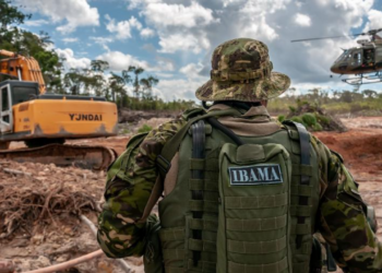 Veja o que levar na prova do Ibama marcada para 6 de abril