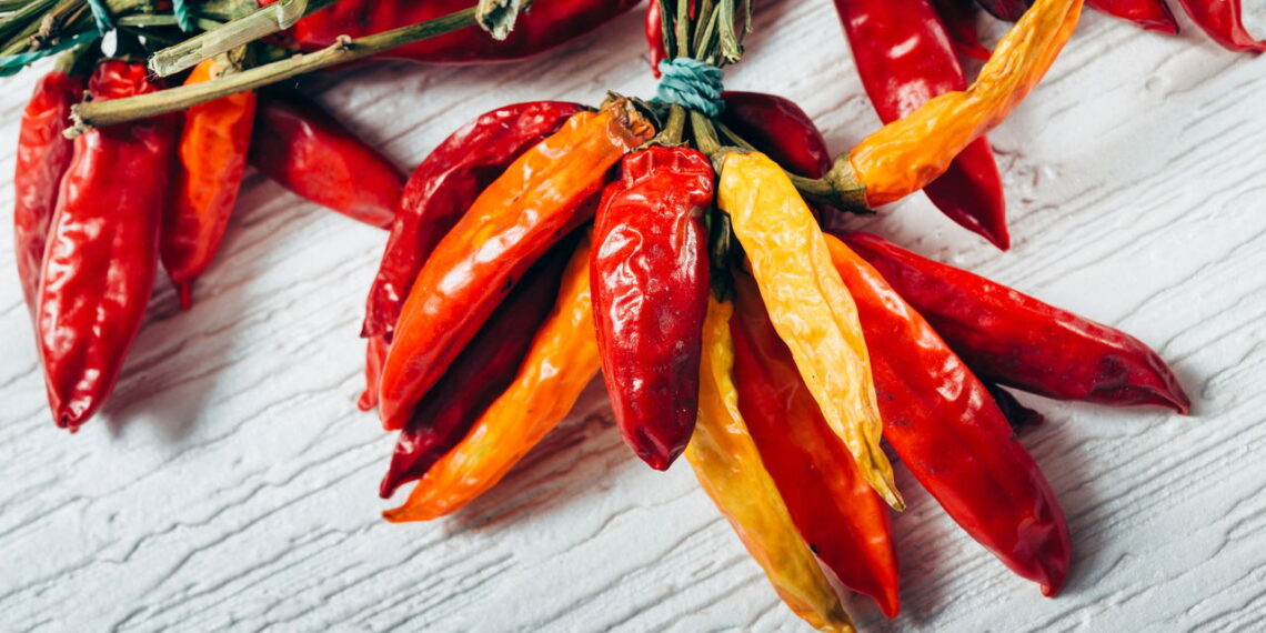 Saiba dicas essenciais para colher frutos de pimentão vibrantes e cheios de sabor direto do seu quintal!