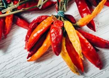 Saiba dicas essenciais para colher frutos de pimentão vibrantes e cheios de sabor direto do seu quintal!