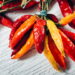 Saiba dicas essenciais para colher frutos de pimentão vibrantes e cheios de sabor direto do seu quintal!