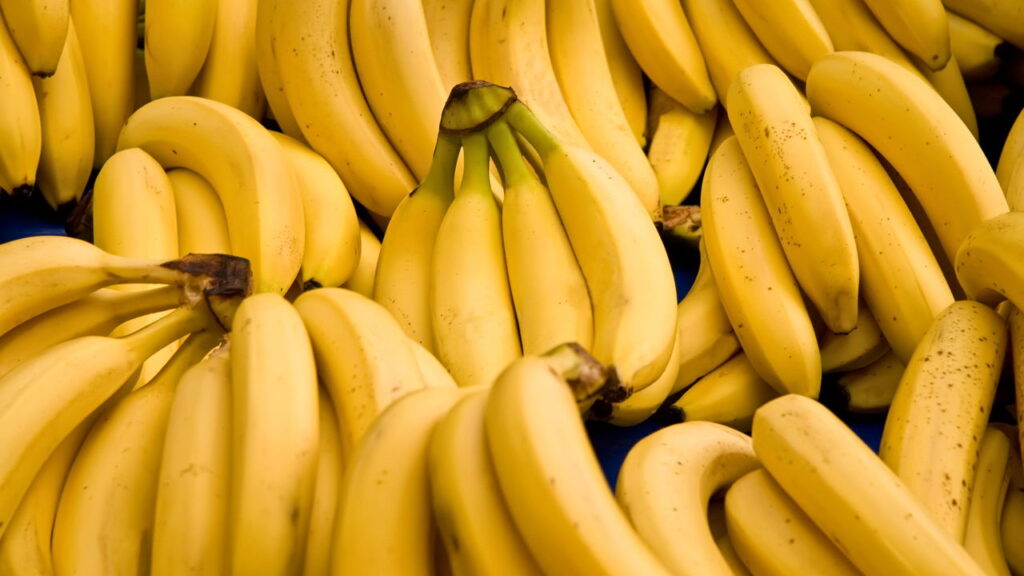 A melhor forma de armazenar alimentos e evitar desperdício