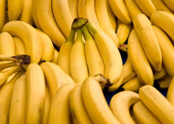 A melhor forma de armazenar alimentos e evitar desperdício