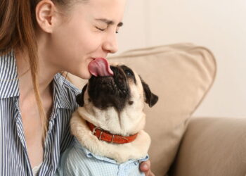 Seu cão te enche de lambidas? Descubra o motivo que ninguém te contou