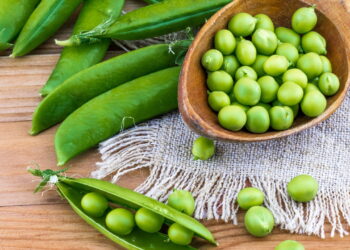 Saiba como ter uma plantação pura e frescas de ervilhas em casa