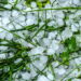 Granizo o fenômeno climático mais perigoso que você ja viu