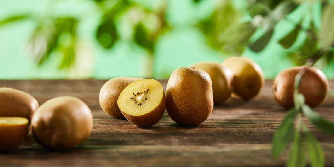 Confira as melhores dicas para conseguir plantar kiwi em casa