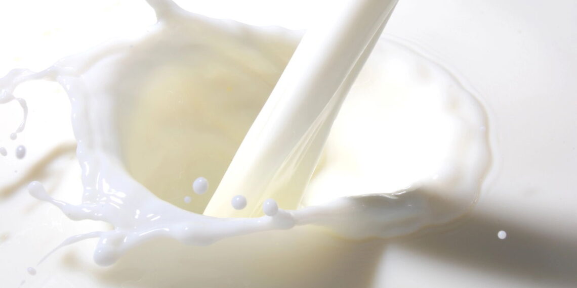 O alimento mais poderoso do mundo está na sua geladeira