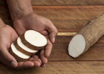 Você nunca imaginou que a mandioca fazia tão bem assim