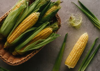 O alimento mais consumido que nunca cresceu na natureza