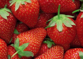 Essa fruta vermelhinha pode transformar sua alimentação