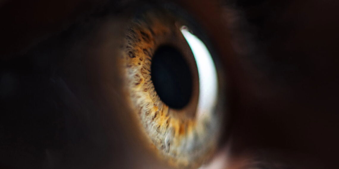 O mito que enganou milhões sobre a cor dos olhos finalmente é desmascarado