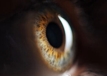 O mito que enganou milhões sobre a cor dos olhos finalmente é desmascarado