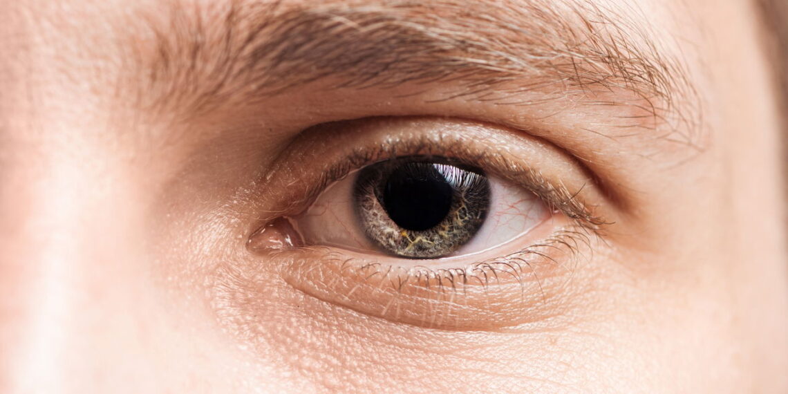 O segredo mais surpreendente sobre seus olhos que ninguém te contou
