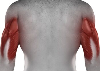 Os 5 melhores exercícios para fortalecer os tríceps e melhorar a força dos braços na sua casa