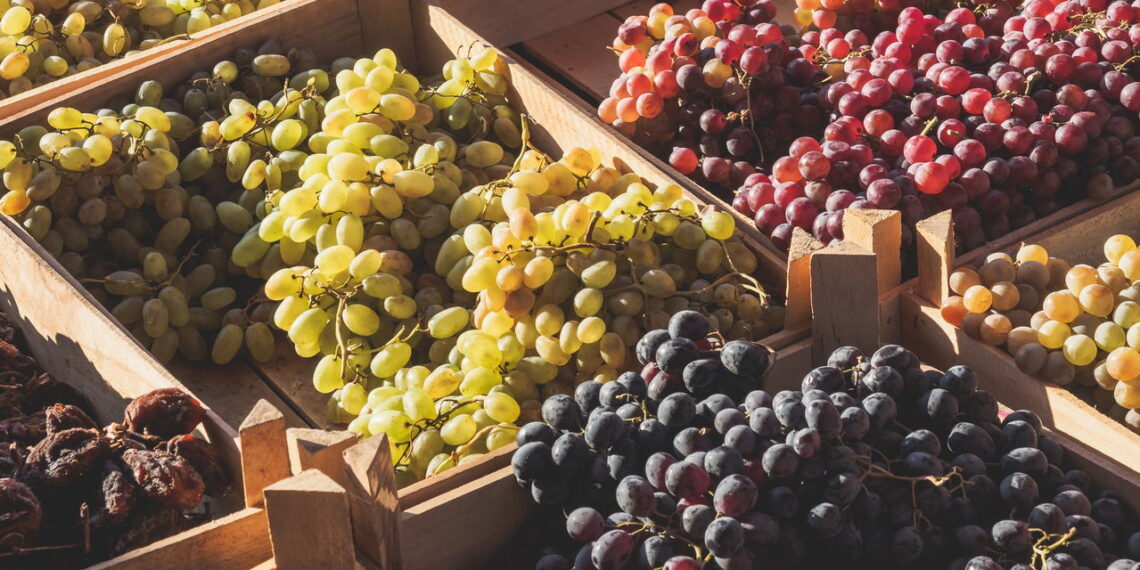 Confira como ter uma boa plantação de uvas em casa com essas dicas