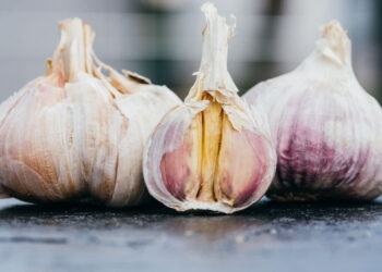 Veja as melhores dicas para ter um cultivo de alho em casa sem erro