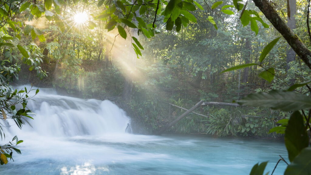 O lugar mágico no Brasil onde a natureza desafia a lógica